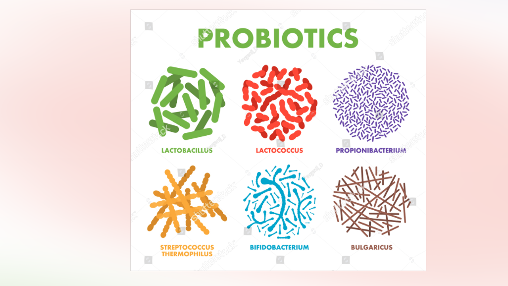 Εικόνα επιλογής